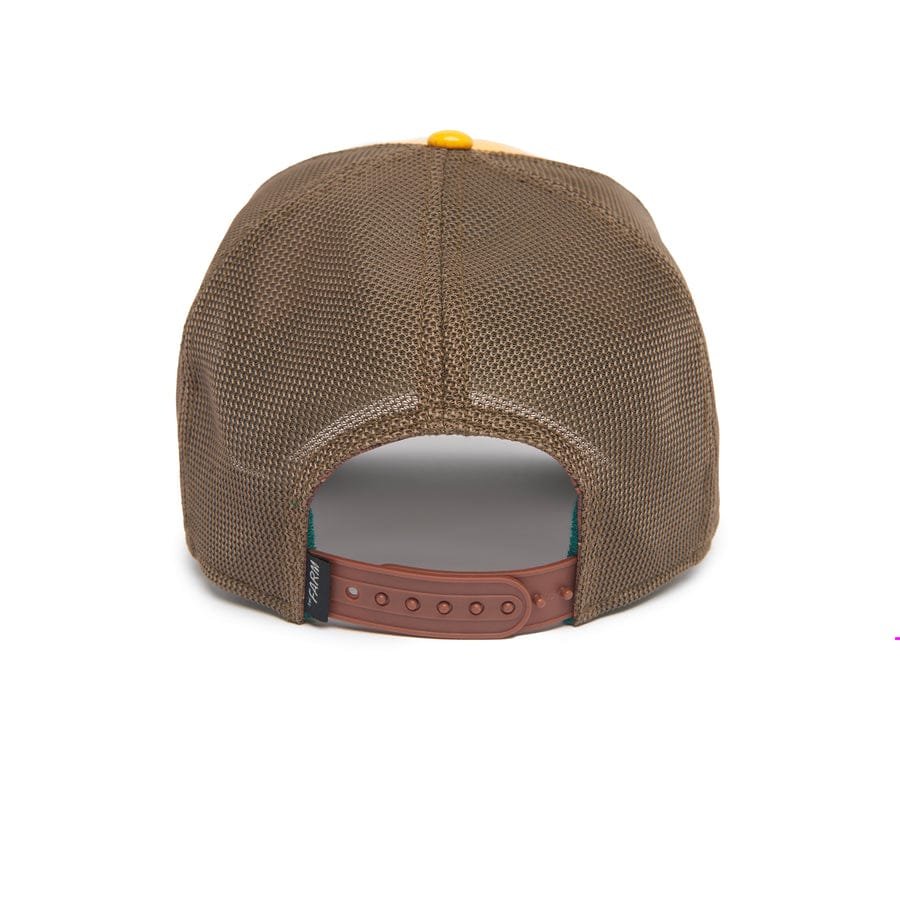 Gorra