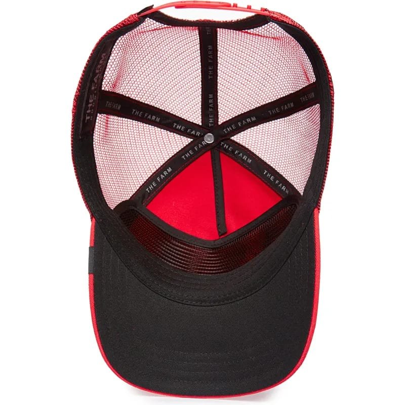Gorra