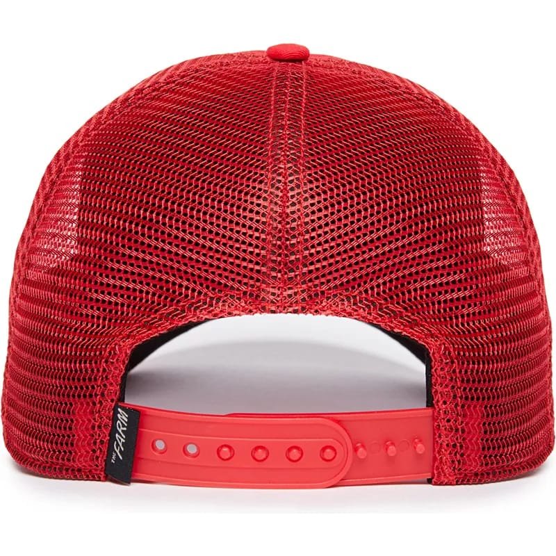 Gorra