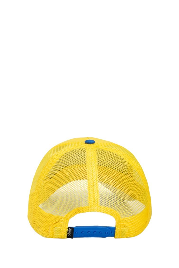 Gorra