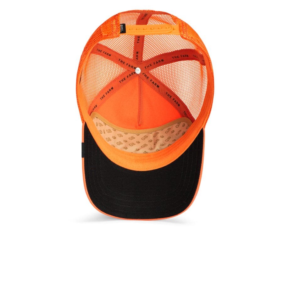 Gorra