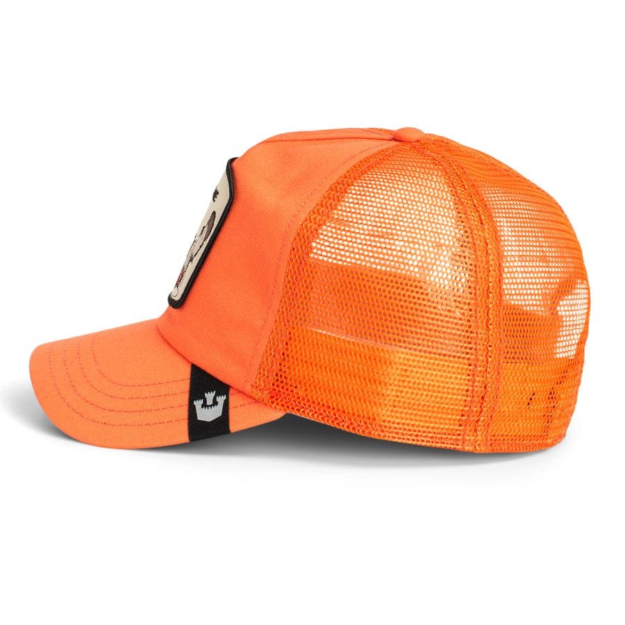 Gorra