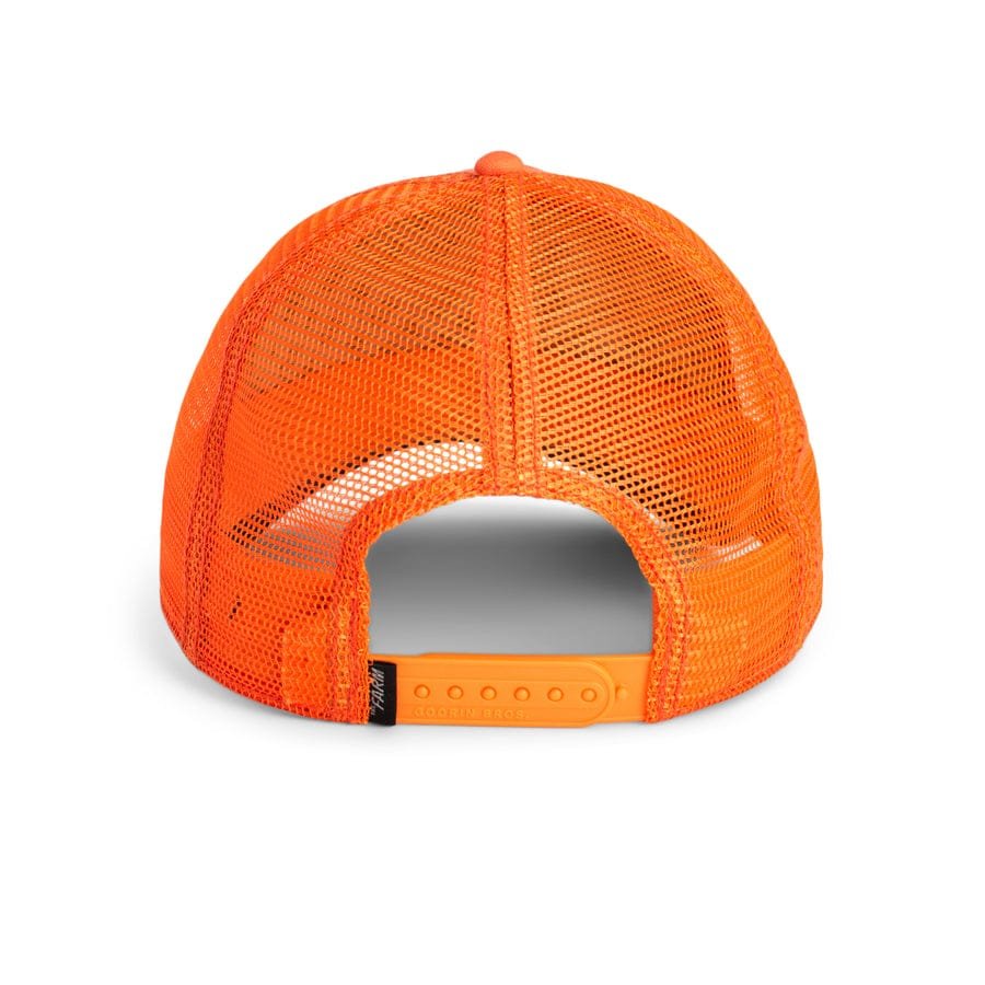 Gorra