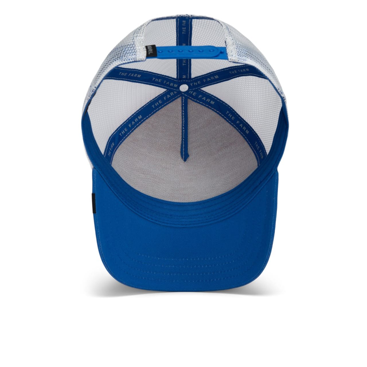 Gorra