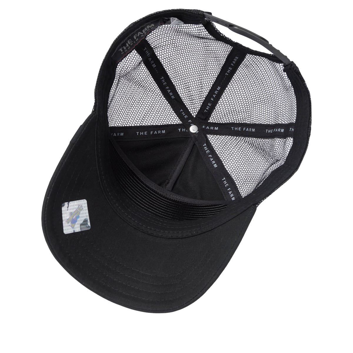Gorra