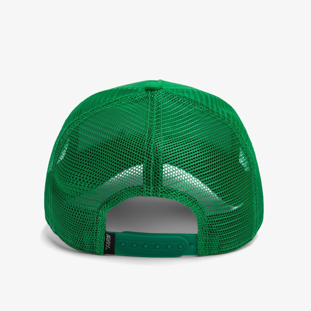 Gorra