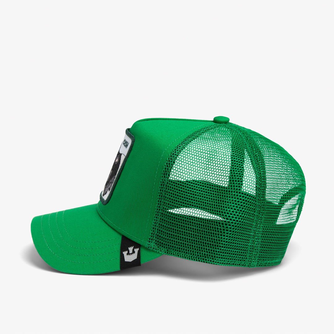 Gorra