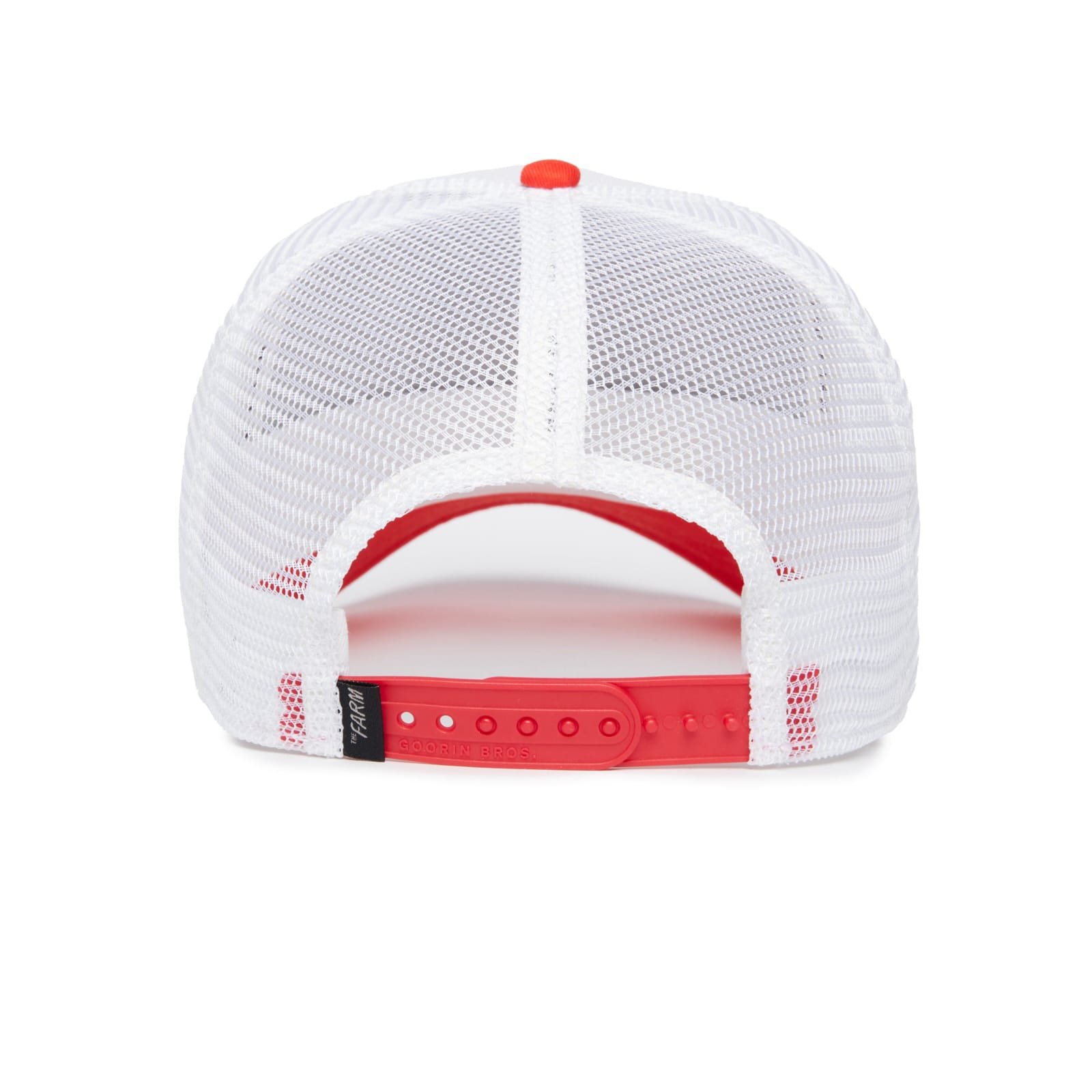 Gorra