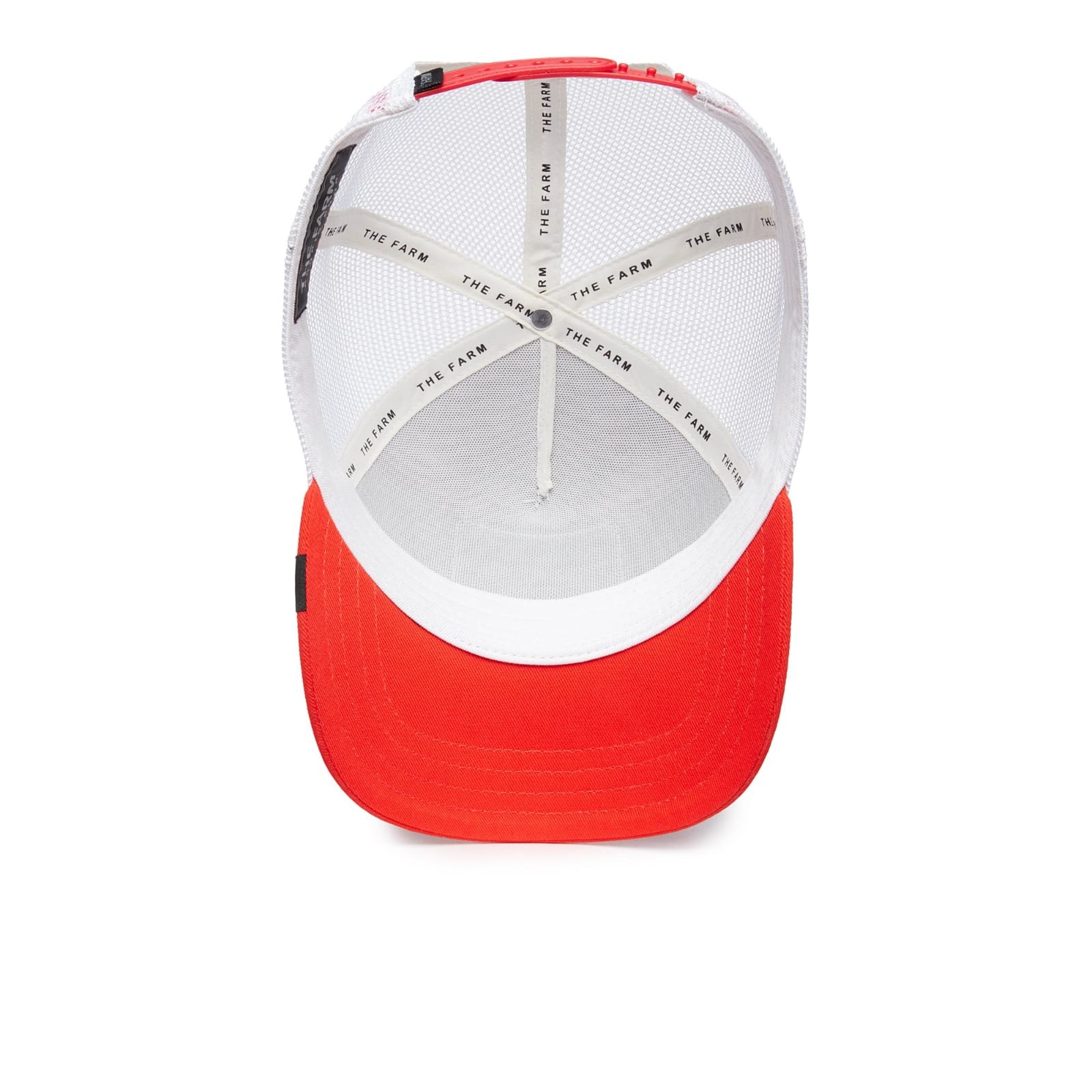 Gorra