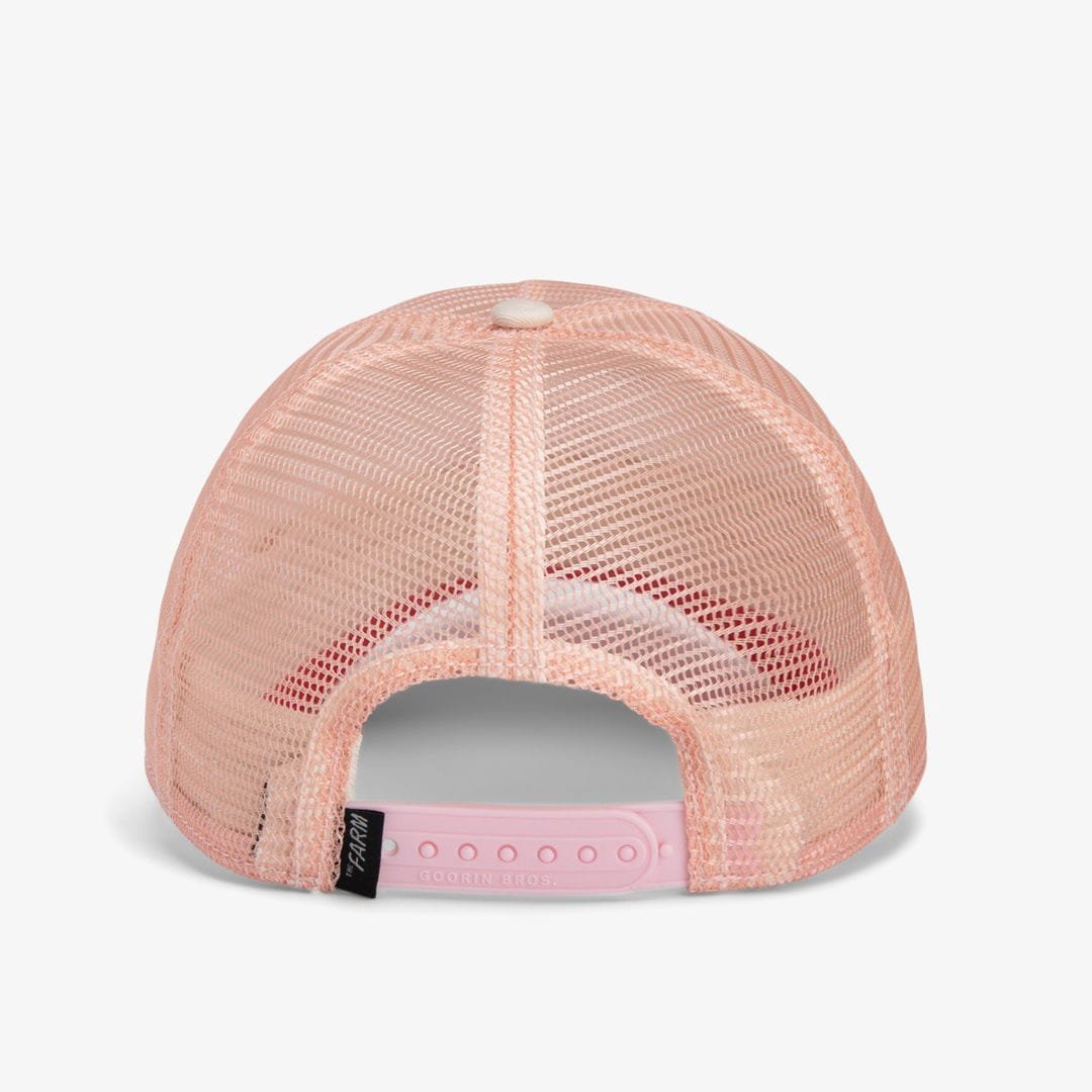Gorra