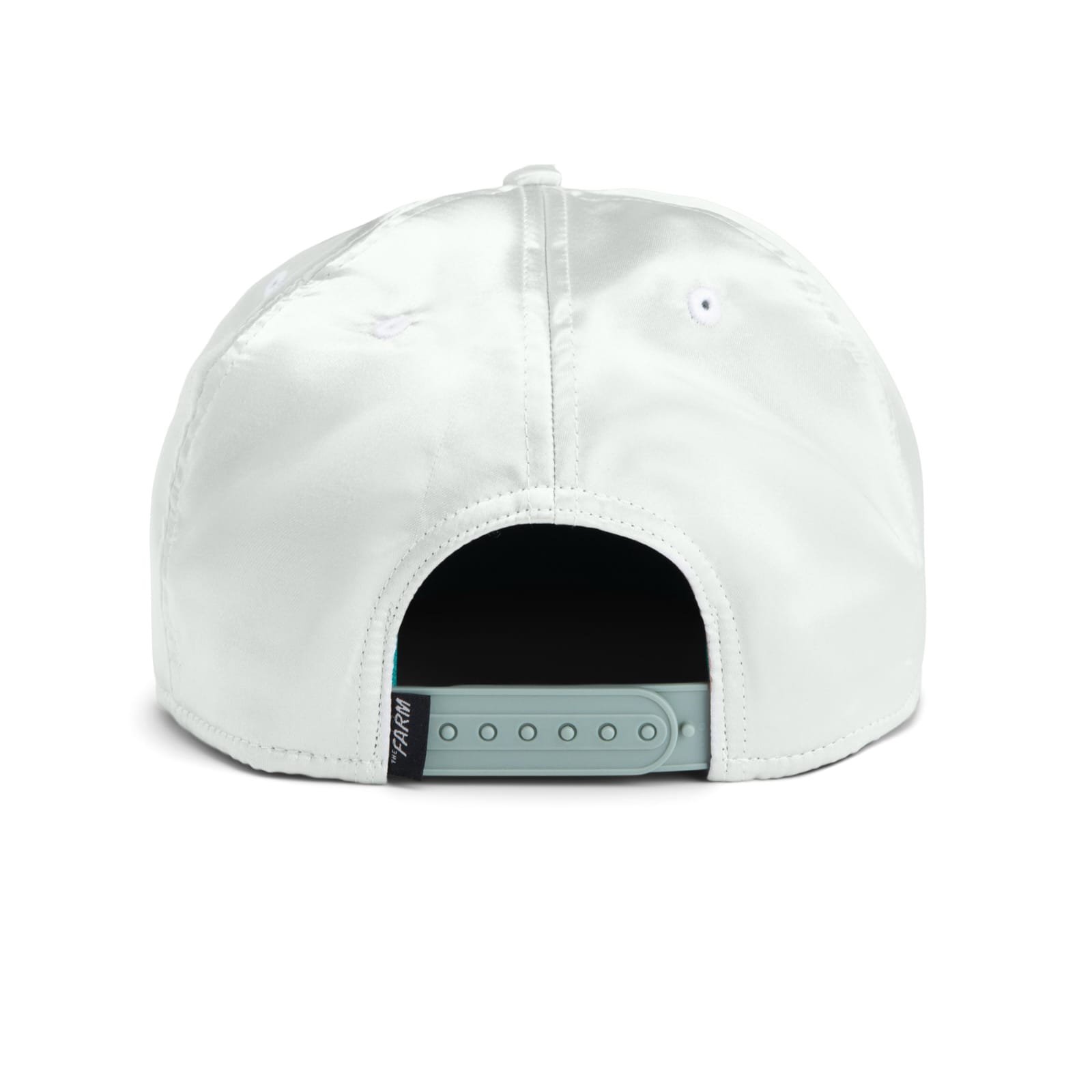 Gorra