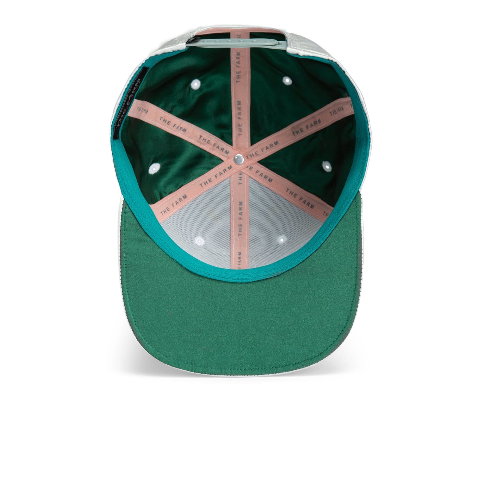 Gorra