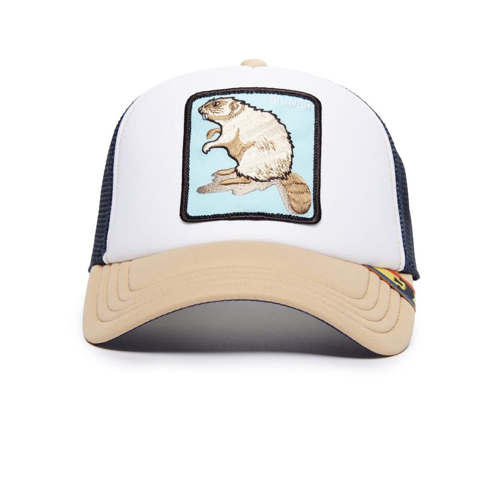 Gorra