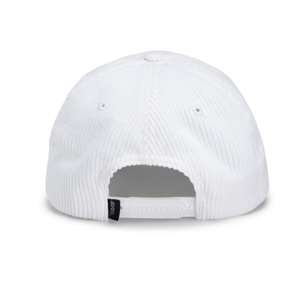 Gorra