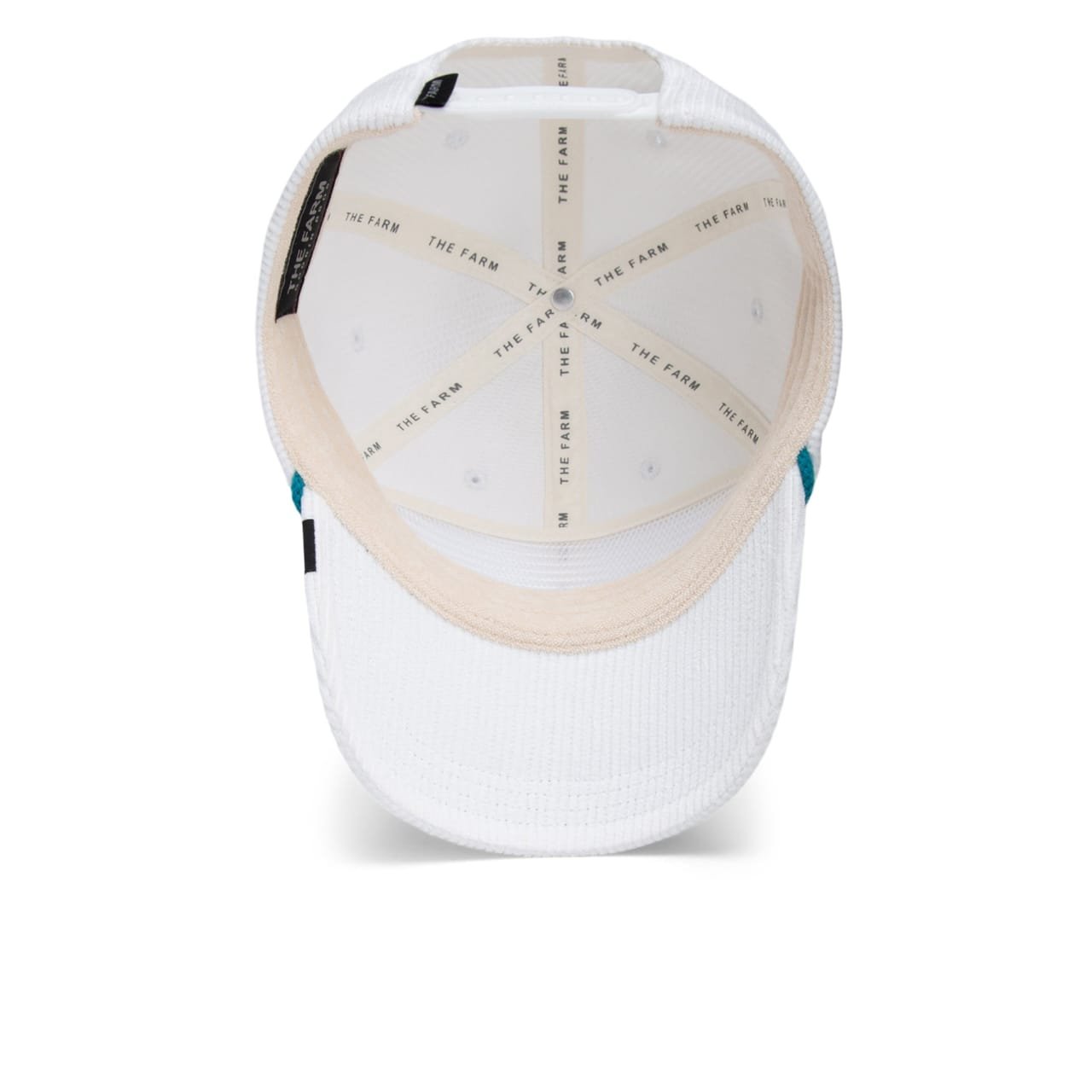 Gorra