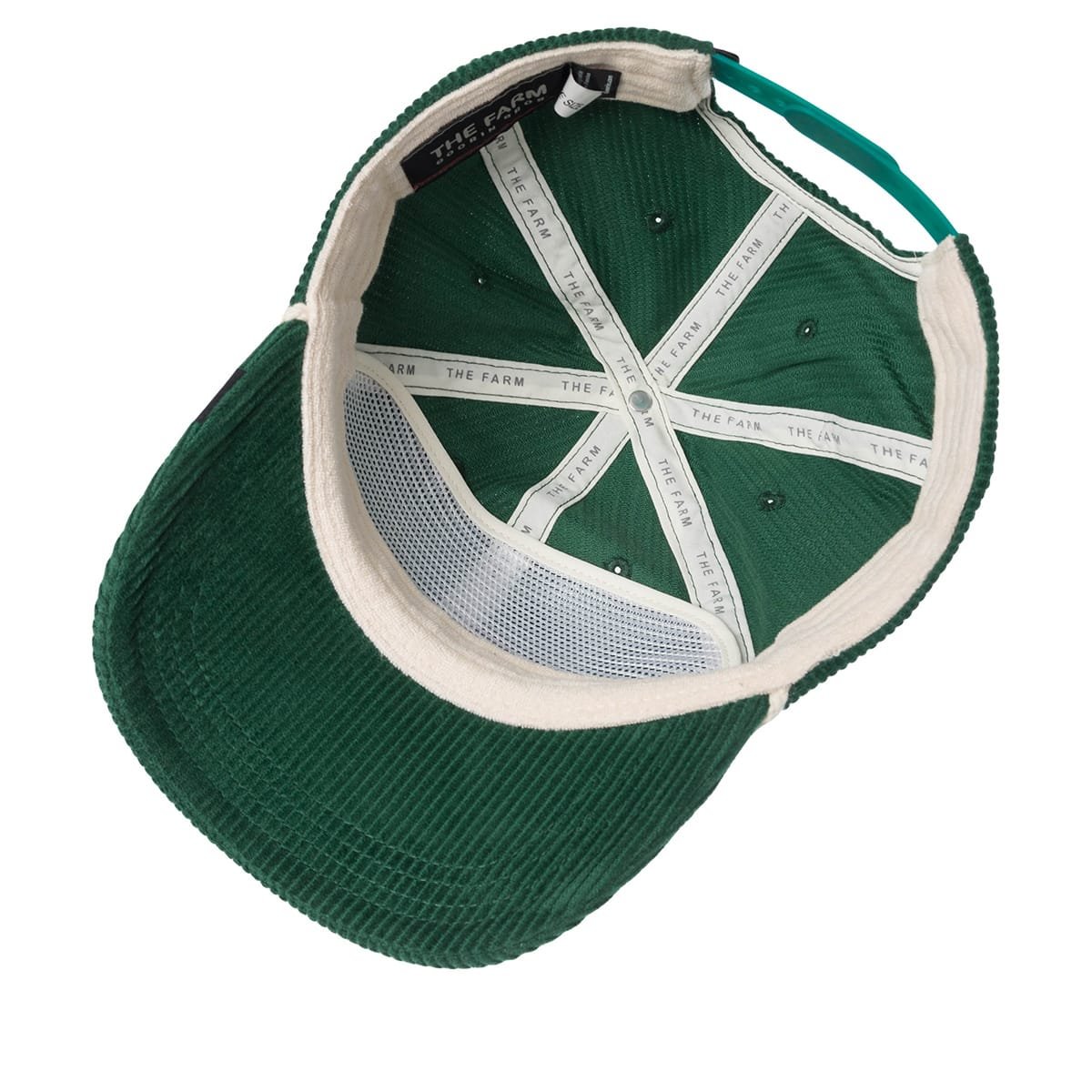 Gorra