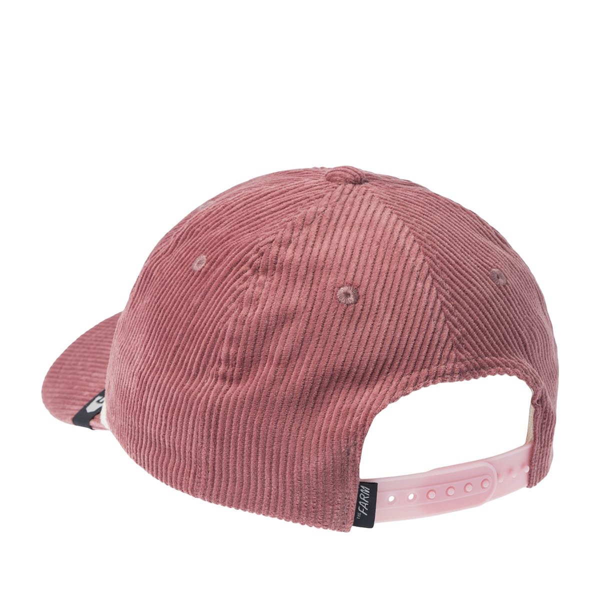 Gorra