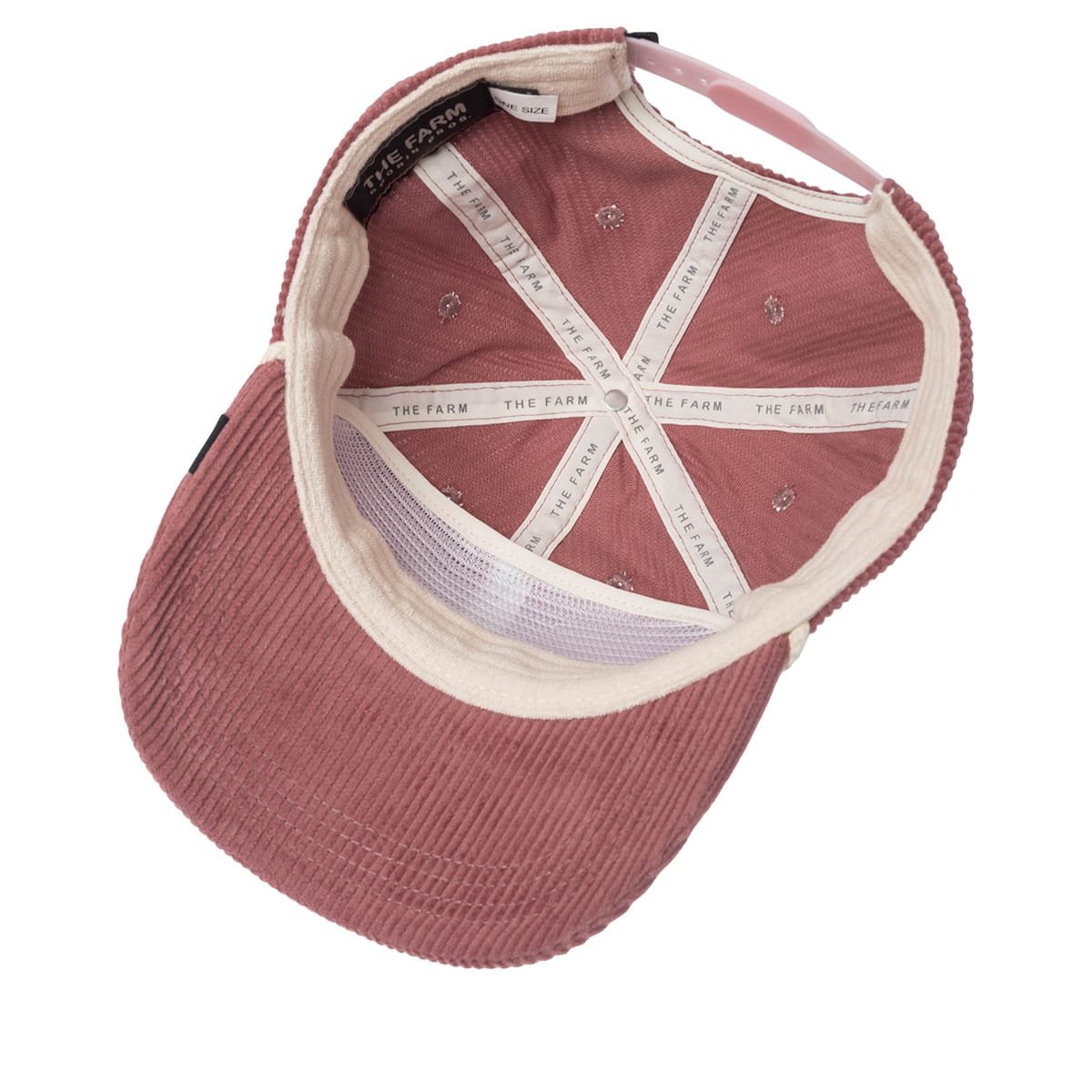 Gorra