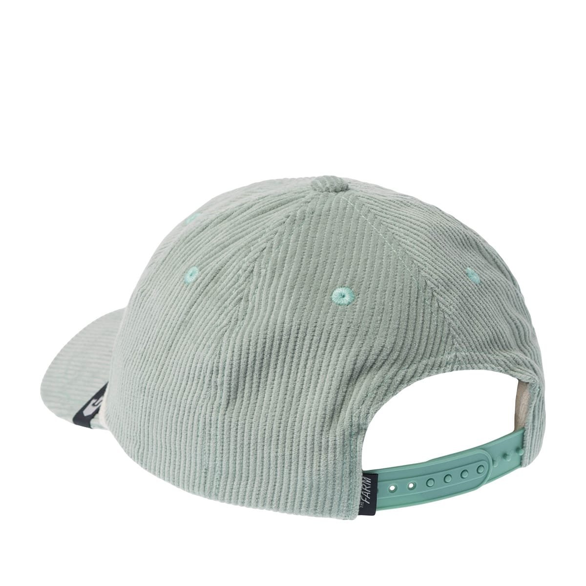 Gorra