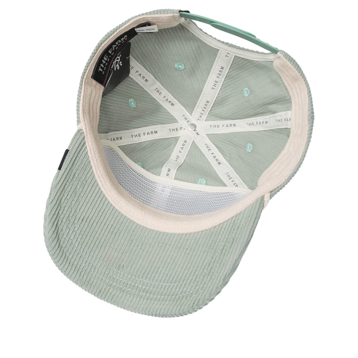 Gorra
