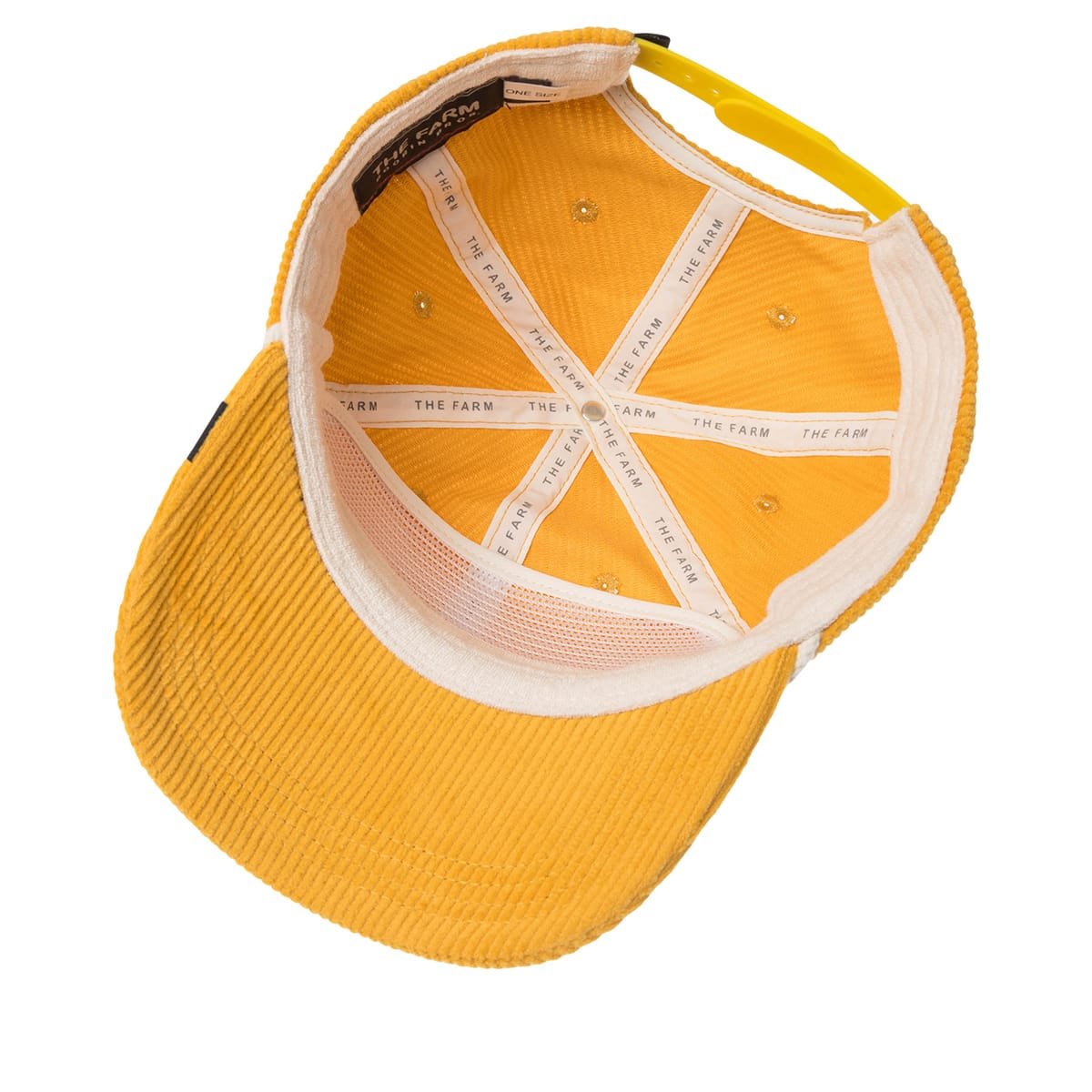 Gorra
