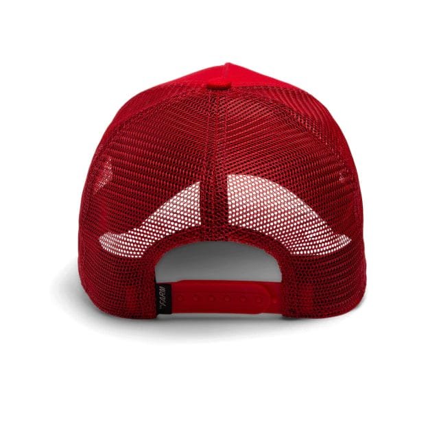 Gorra