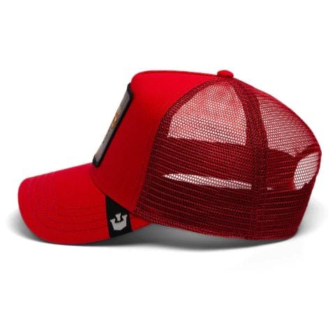 Gorra