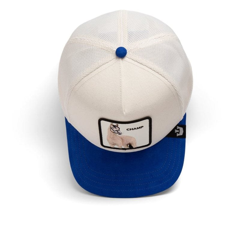 Gorra