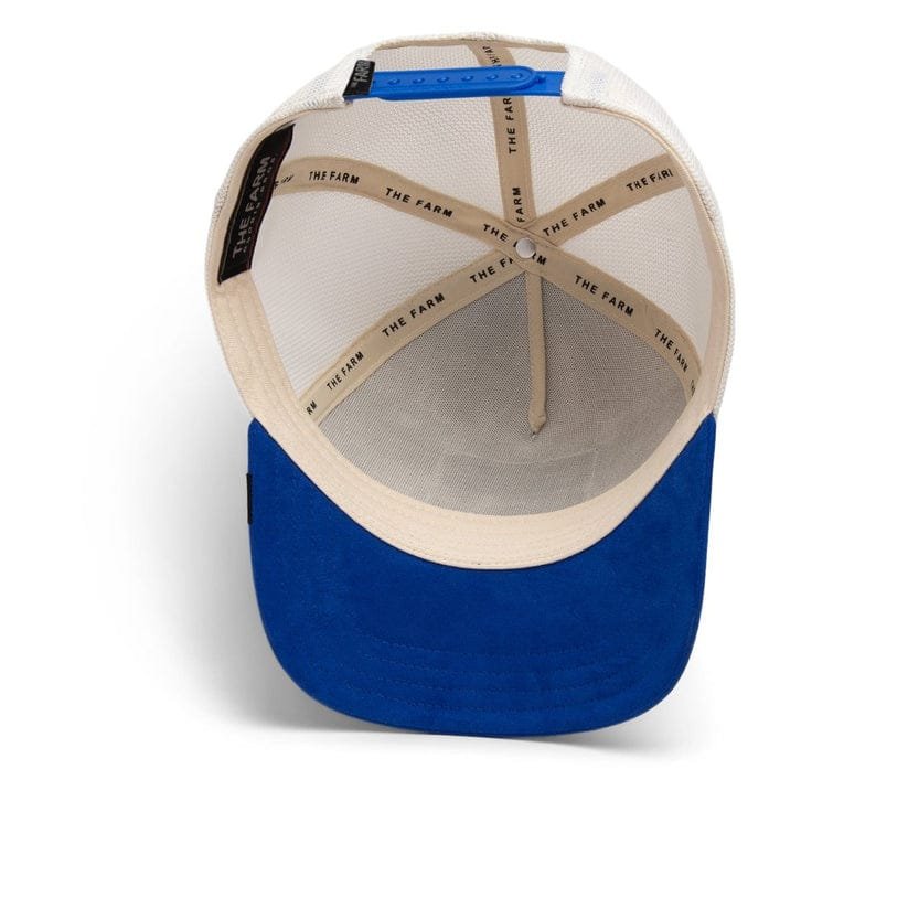 Gorra
