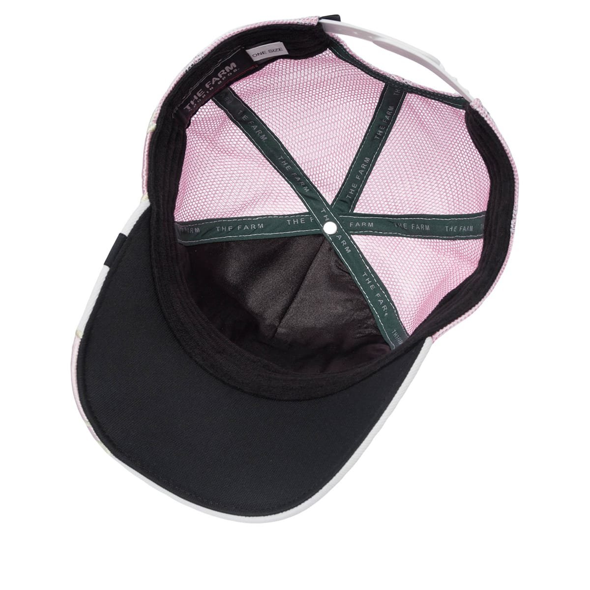 Gorra